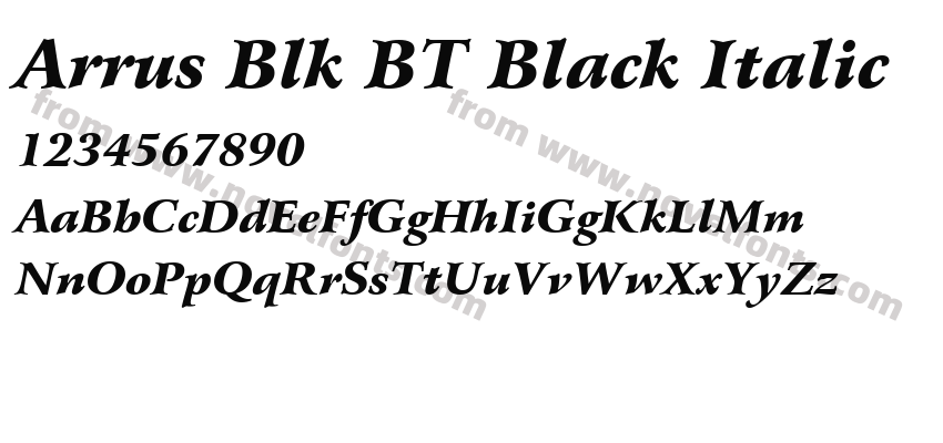 Arrus Blk BT Black ItalicPreview