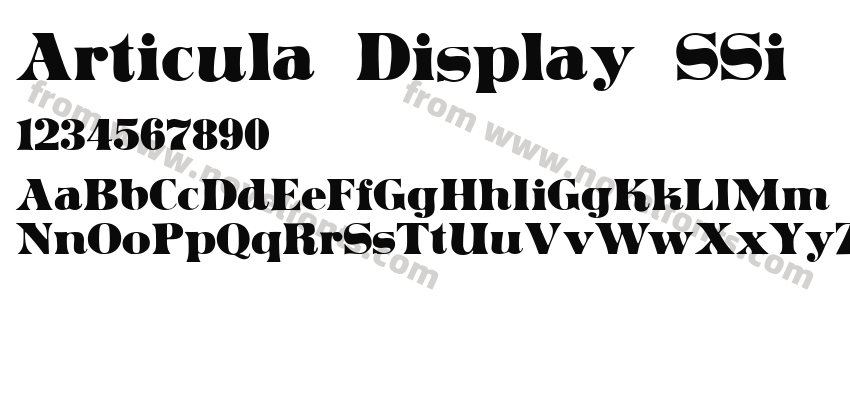 Articula Display SSiPreview