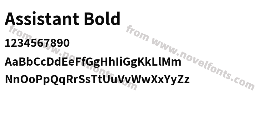 Assistant BoldPreview
