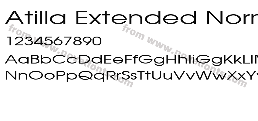 Atilla Extended NormalPreview