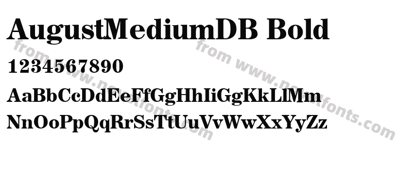 AugustMediumDB BoldPreview