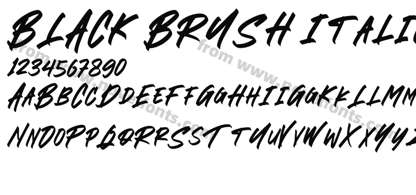 BLACK BRUSH ItalicPreview