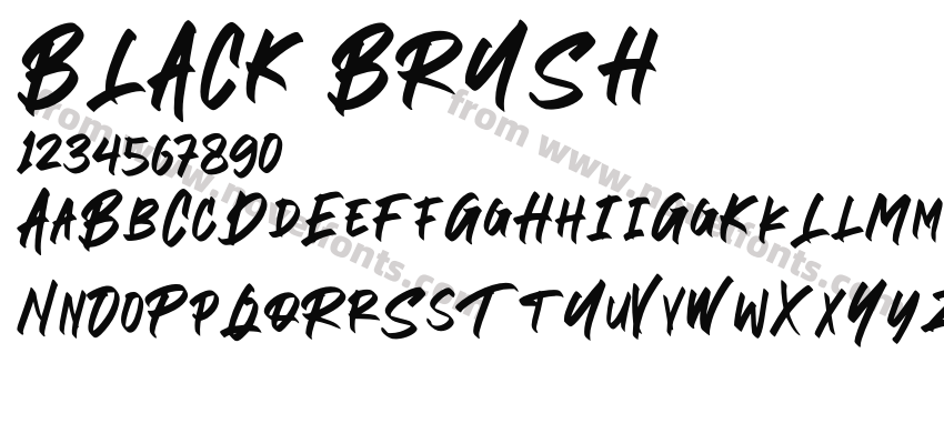 BLACK BRUSHPreview