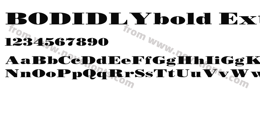 BODIDLYbold ExtendedPreview