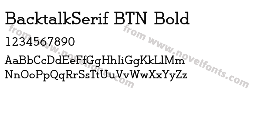 BacktalkSerif BTN BoldPreview