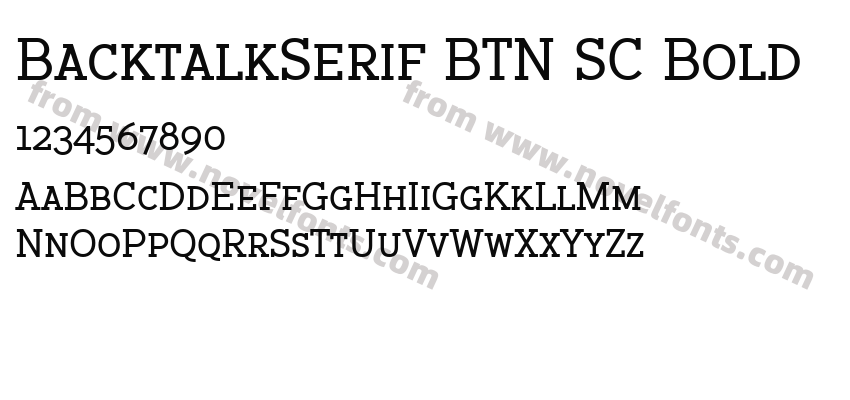 BacktalkSerif BTN SC BoldPreview