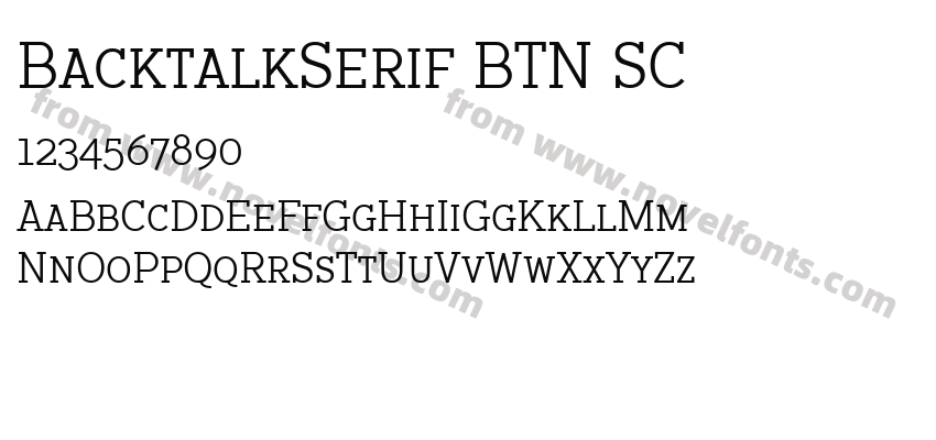 BacktalkSerif BTN SCPreview