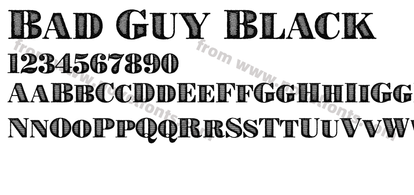 Bad Guy BlackPreview