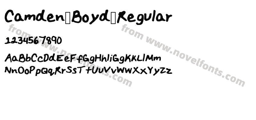 Camden_Boyd_RegularPreview