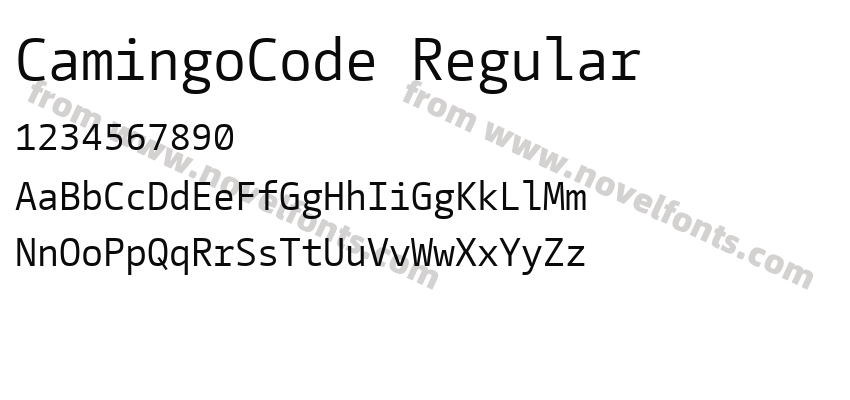 CamingoCode RegularPreview