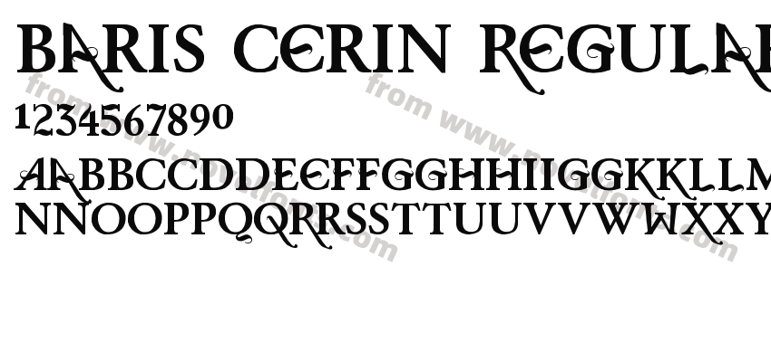 Baris Cerin RegularPreview