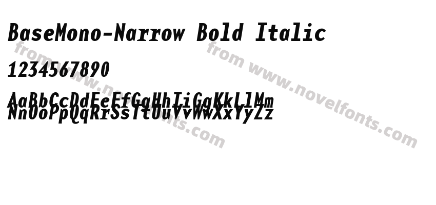 BaseMono-Narrow Bold ItalicPreview