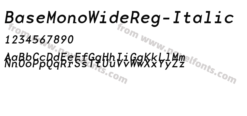BaseMonoWideReg-ItalicPreview