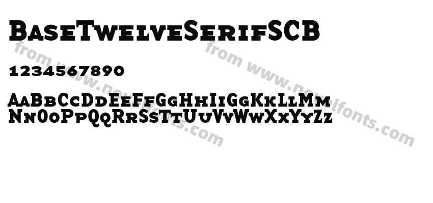 BaseTwelveSerifSCBPreview