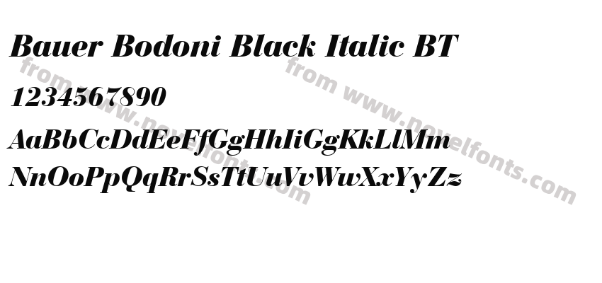 Bauer Bodoni Black Italic BTPreview