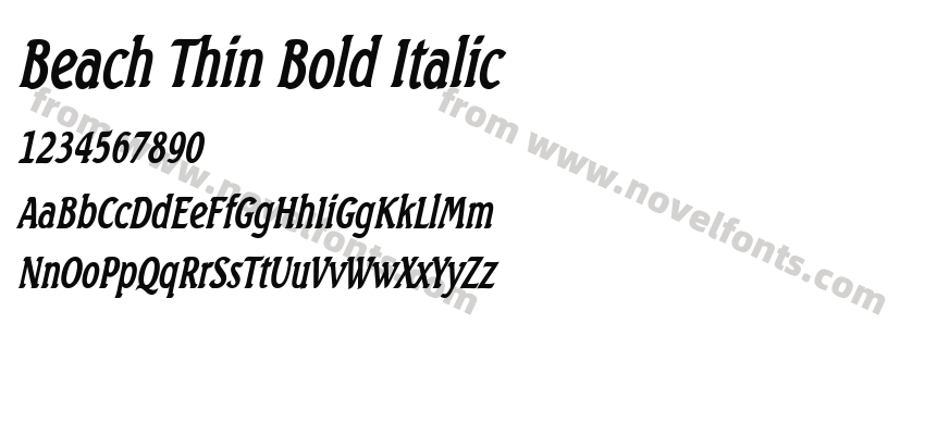 Beach Thin Bold ItalicPreview