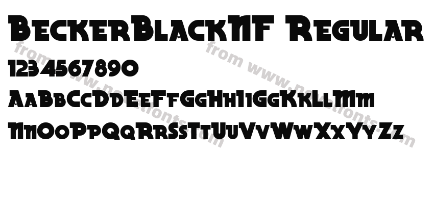 BeckerBlackNF RegularPreview