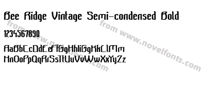 Bee Ridge Vintage Semi-condensed BoldPreview