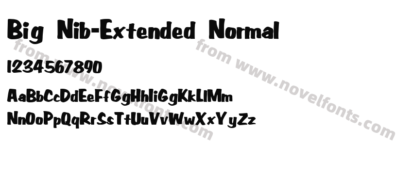 Big Nib-Extended NormalPreview