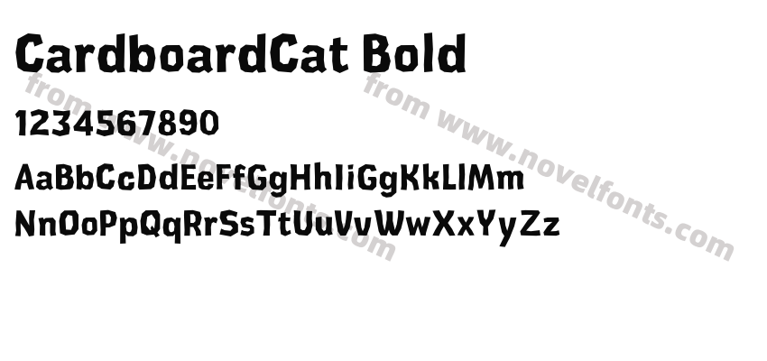 CardboardCat BoldPreview