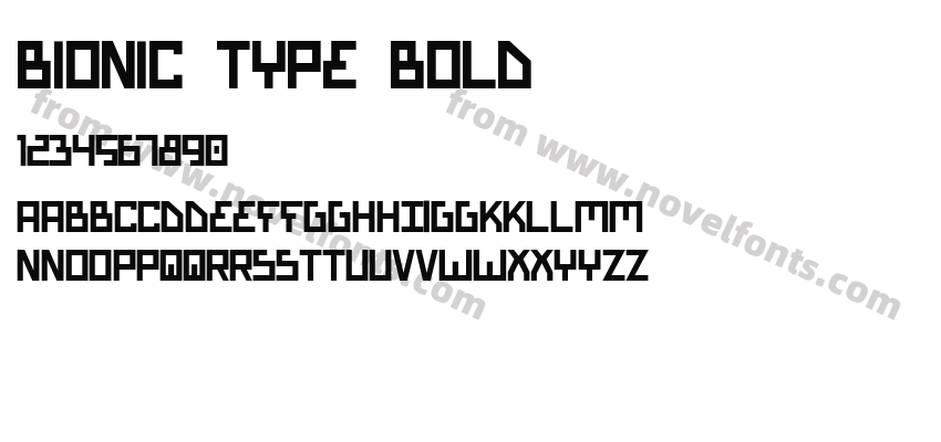 Bionic Type BoldPreview