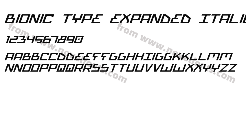 Bionic Type Expanded ItalicPreview