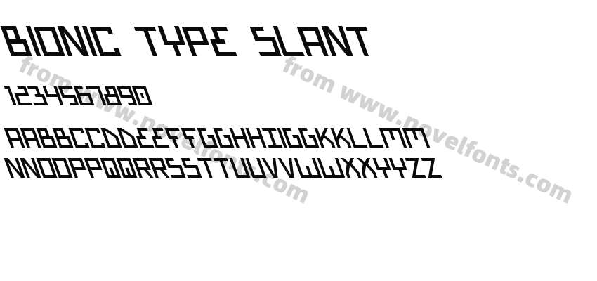 Bionic Type SlantPreview