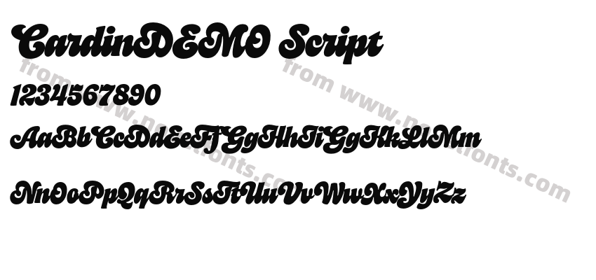 CardinDEMO ScriptPreview