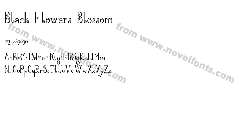 Black Flowers BlossomPreview