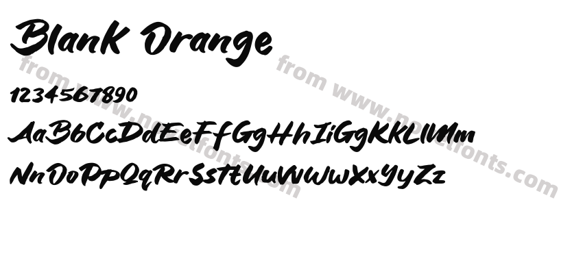 Blank OrangePreview