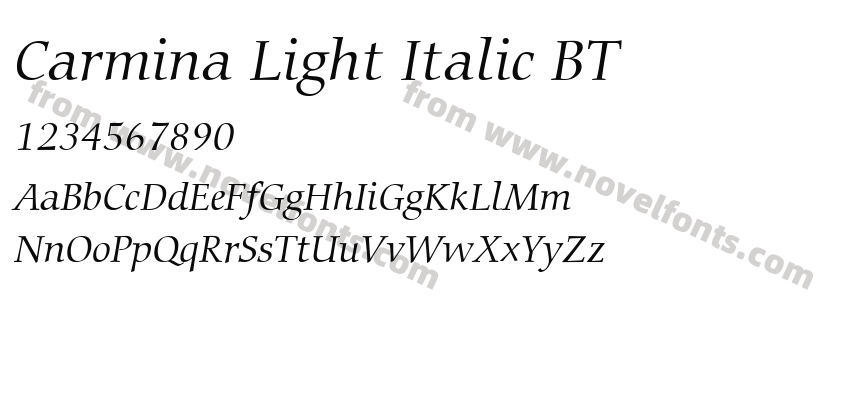 Carmina Light Italic BTPreview