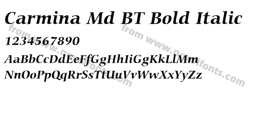 Carmina Md BT Bold ItalicPreview