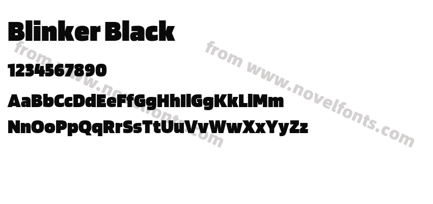 Blinker BlackPreview