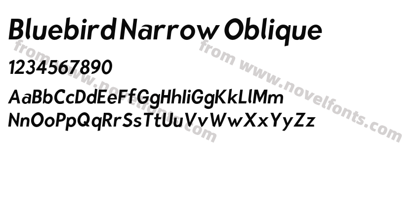 Bluebird Narrow ObliquePreview