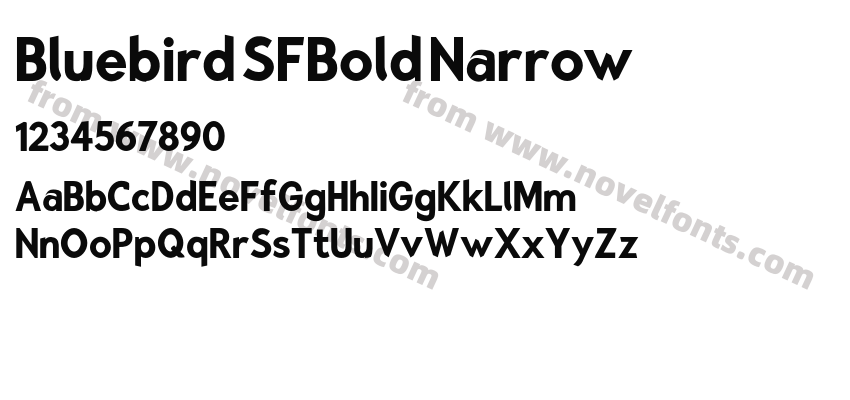 Bluebird SFBold NarrowPreview