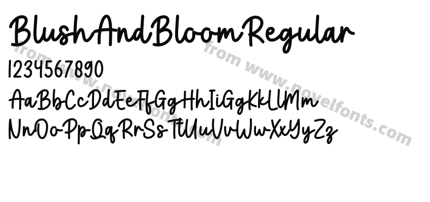 BlushAndBloomRegularPreview