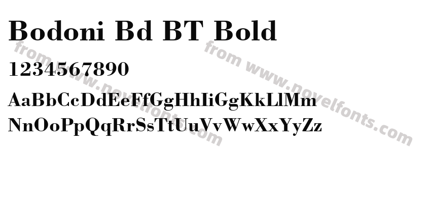 Bodoni Bd BT BoldPreview