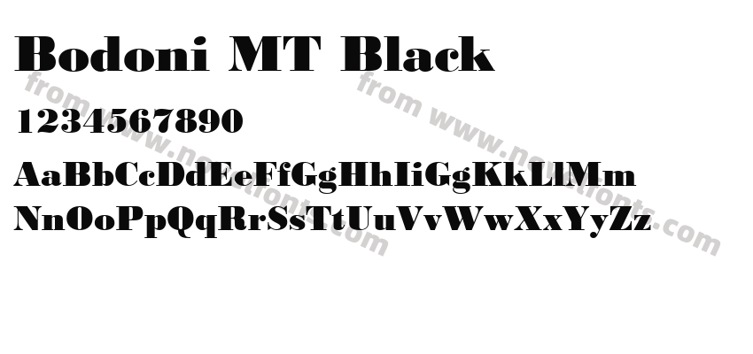 Bodoni MT BlackPreview