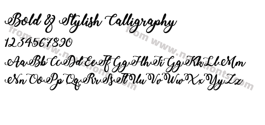 Bold & Stylish CalligraphyPreview