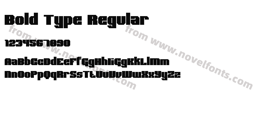 Bold Type RegularPreview