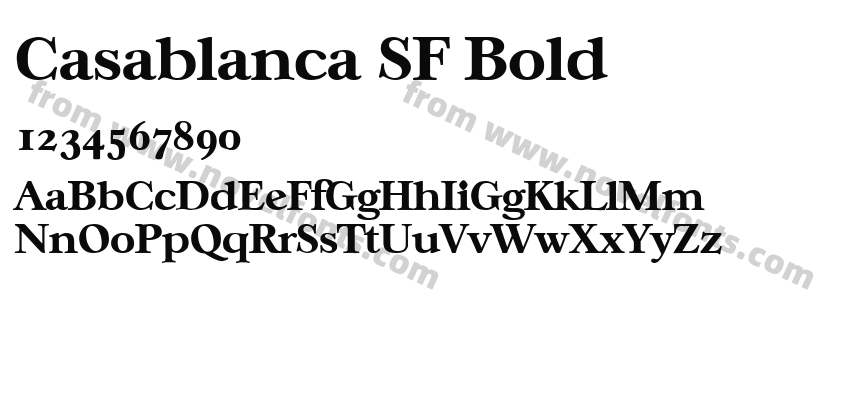 Casablanca SF BoldPreview