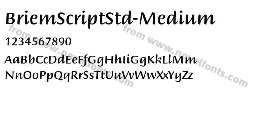 BriemScriptStd-MediumPreview