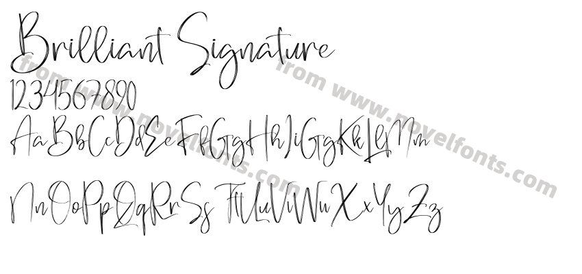 Brilliant SignaturePreview