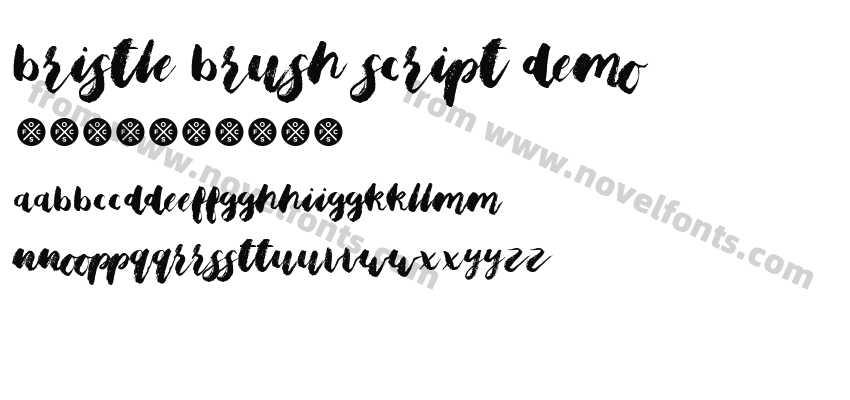 Bristle Brush Script DemoPreview