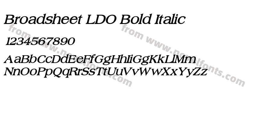 Broadsheet LDO Bold ItalicPreview