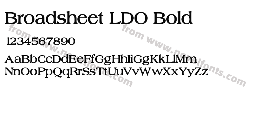 Broadsheet LDO BoldPreview