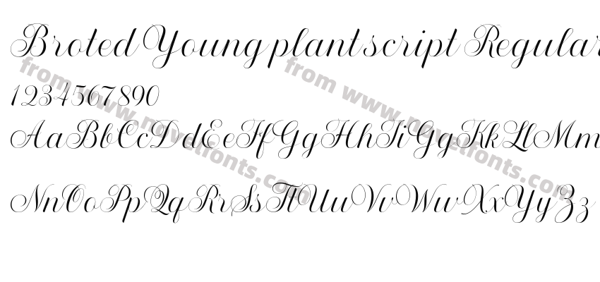 Broted Young plant script RegularPreview