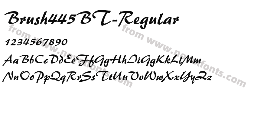 Brush445BT-RegularPreview