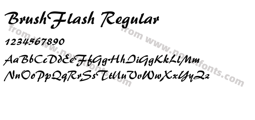 BrushFlash RegularPreview