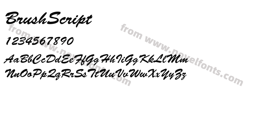 BrushScriptPreview